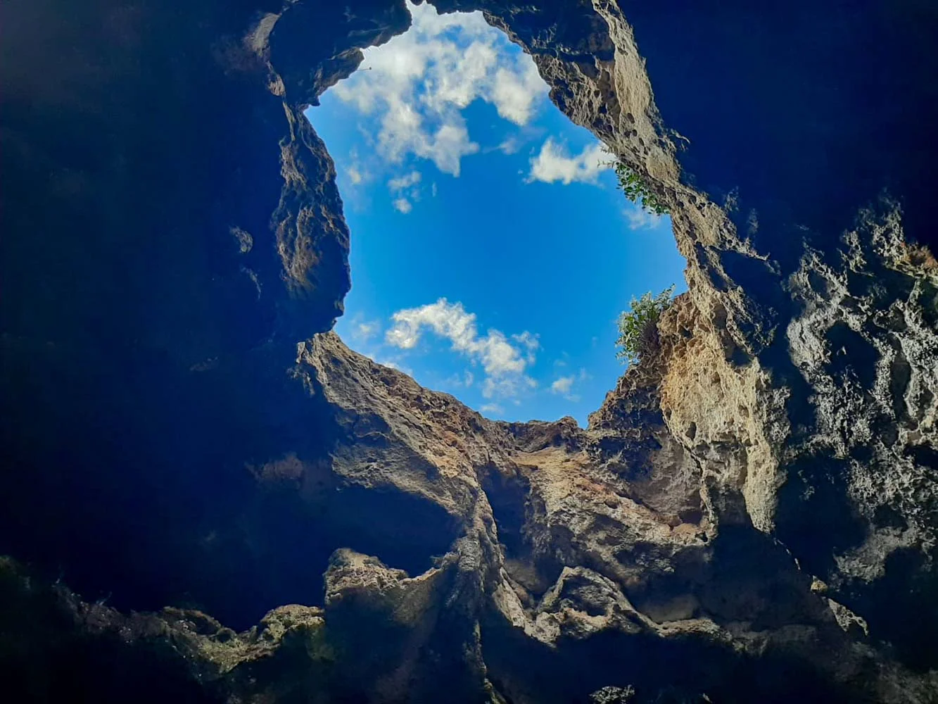 BLUE-WAVE-ESCURSIONI-IN-BARCA-A-POLIGNANO-A-MARE-WhatsApp-Image-2022-11-25-at-17.22.15