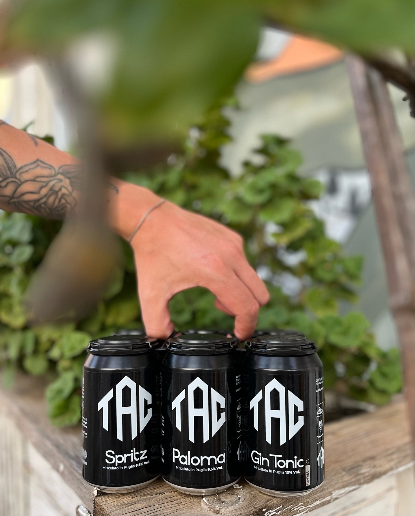 531155169_18017260451753036_7945475185920612587_n